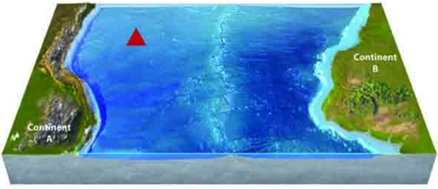 Use your knowledge of plate boundaries to answer whether a volcano is likely or unlikely to form at the location of the red triangle.   A) likely B) unlikely