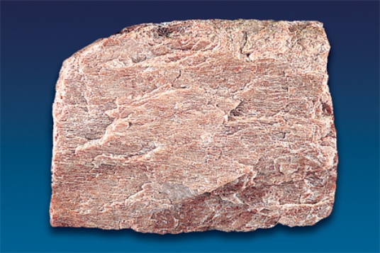 The very common mineral shown in this photograph is commonly a pink- to cream-colored mineral with wavy, light-colored lines.What mineral is it?   A) garnet B) quartz C) biotite D) muscovite E) feldspar