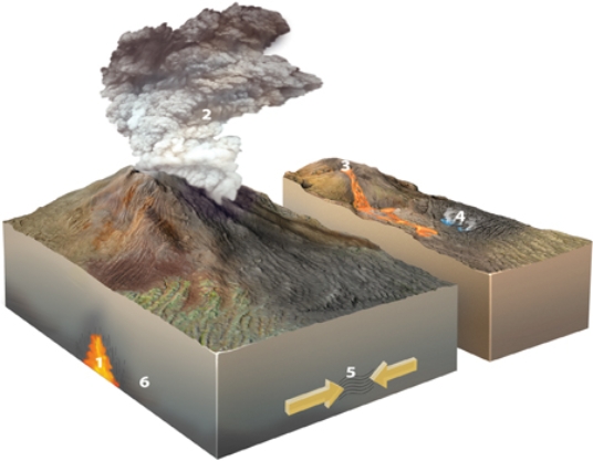 Which of the following locations would form a hydrothermal rock?   A) location 1 B) location 2 C) location 3 D) location 4 E) locations 2 and 3