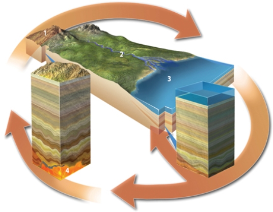 Which of the following settings would result in the formation of igneous rocks?   A) location 1 B) location 2 C) location 3 D) location 4