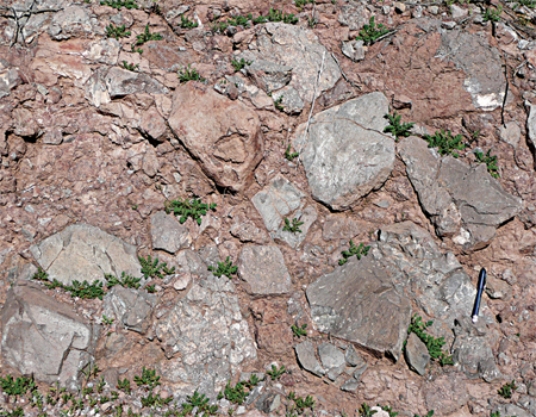 The type of rock shown in this photograph is   A) conglomerate. B) breccia. C) sandstone. D) shale.
