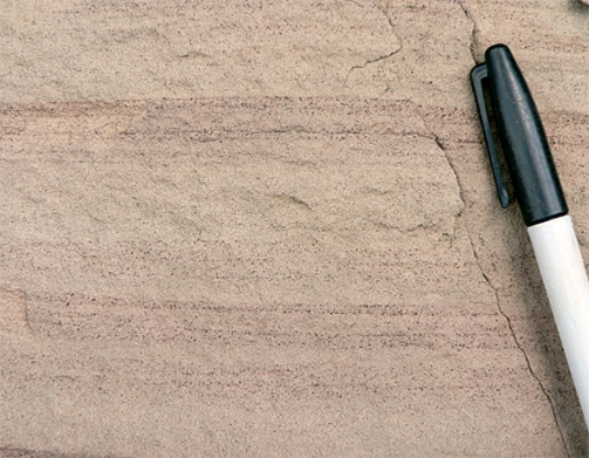 The rock shown here, with sediment just visible to the naked eye, is a   A) sandstone. B) shale. C) conglomerate.