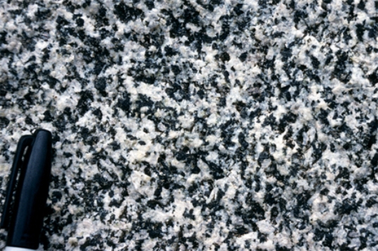 What texture is displayed by the igneous rock in this photograph?   A) vesicles B) breccia C) porphyritic D) glassy E) None of these.