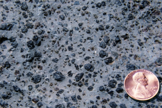 What texture is displayed by the igneous rock in this photograph?   A) vesicles B) breccia C) porphyritic D) glassy E) None of these.