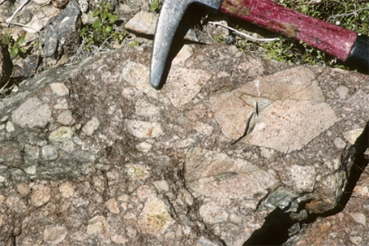 What texture is displayed by the igneous rock in this photograph?   A) vesicles B) breccia C) porphyritic D) glassy E) None of these.