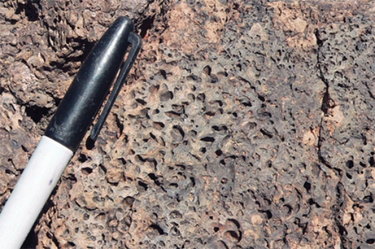 What does this texture indicate about the formation of this rock?   A) It formed from an explosive pyroclastic eruption. B) The rock solidified at great depth. C) The magma formed some crystals before rising closer to the surface and solidifying. D) The magma had abundant dissolved gas.
