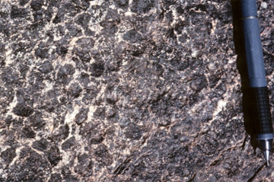 Which of the following rock photographs depicts a felsic igneous rock? A)    B)    C)    D)   