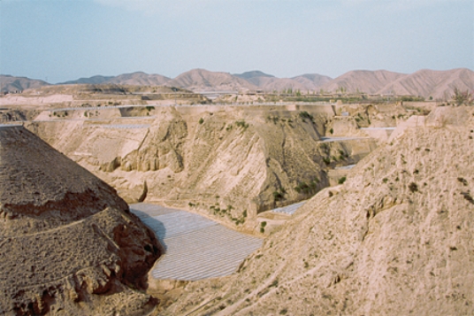 This wind-blown dust deposit (loess) from Tibet   A) was deposited by a huge flood of seawater that covered the land at the time of the dinosaurs. B) began as clay and silt that were produced by grinding of rocks along ice-age glaciers. C) forms a world-wide layer associated with a well-known extinction of dinosaurs. D) All of these.