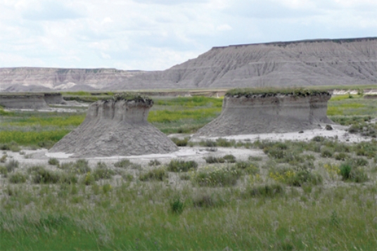 These pillars are remnants of layers, most of which have been stripped away by wind erosion.If this occurred in less than five years you might reasonably conclude that   A) the pillars are remnants of volcanic necks. B) this area recently has become a productive place to produce agriculture. C) there must have been drought, overgrazing, or some short-term climatic change. D) this area was originally a lake.