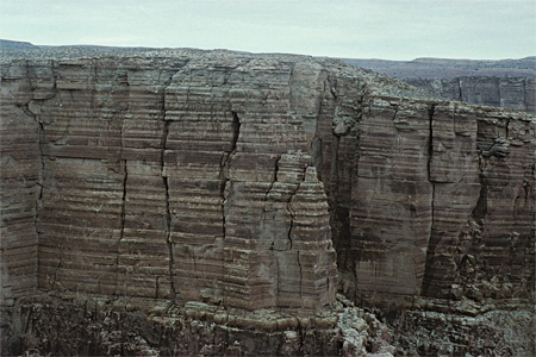 The oldest rocks in the column of limestone shown in the diagram are   A) at the bottom. B) at the top. C) in the middle.
