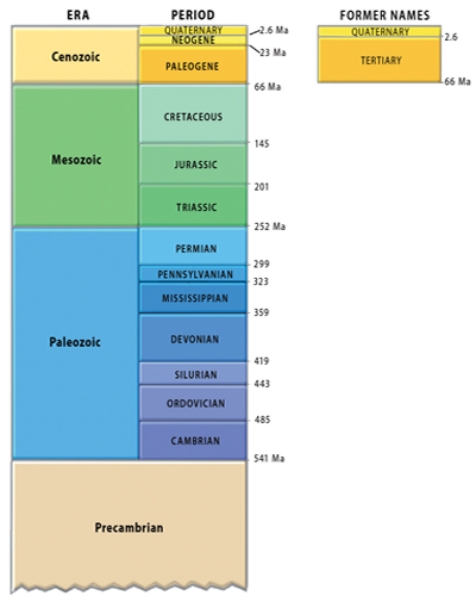 This figure shows the geologic timescale.Which period listed below would be part of the Paleozoic?   A) Permian B) Pennsylvanian C) Mississippian D) Cambrian E) All of these.