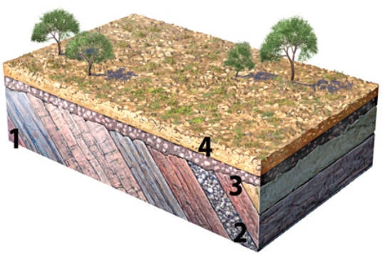 What type of feature is represented by the boundary between geologic units 2 and 3?   A) cleavage B) unconformity C) anticline D) joint