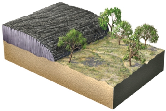The geologic relationships in this figure indicate that   A) the lava flow pushed the trees over. B) the lava flow overlies an angular unconformity. C) the lava flow is younger than the landscape surface partially covered by the lava flow. D) materials beneath the lava flow were uplifted from great depth.