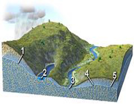 Each number on this figure refers to a location with groundwater in a subsurface material that is consistent in character across the entire figure.Of these locations, which two sites are on the opposite side of a groundwater divide?   A)  between 1 and 2 B)  between 2 and 3 C)  between 3 and 4 D)  between 4 and 5 E)  None of these