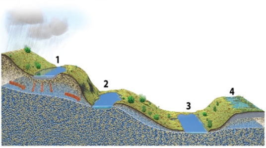 Which of these four lakes could only exist if they if they received water from precipitation or runoff from the land?   A)  1 and 2 B)  2 and 3 C)  3 and 4 D)  1 and 4 E)  2 and 4