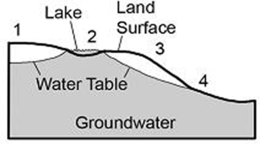 Where on this cross section would water at the surface become groundwater?   A)  1, 2, and 3 B)  1 and 3 C)  2 and 4 D)  2 only E)  4 only