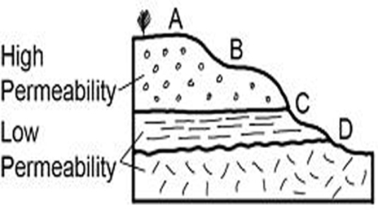 Which of the sites on this cross section would be the most likely place for a spring?   A)  A B)  B C)  C D)  D
