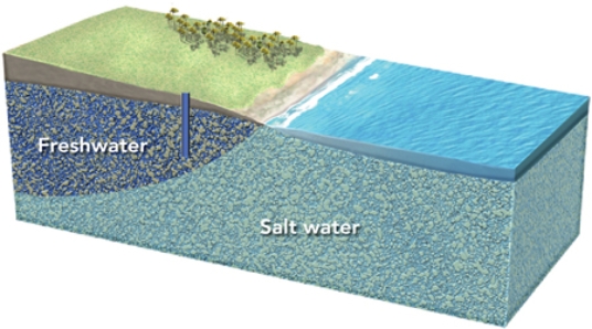 What could happen if this well is overpumped?   A)  It will run out of water and become a dry well. B)  It will yield more water over time. C)  The water table will drop, causing sand to flow into the well. D)  The bottom of the lens of fresh water will rise, causing the well to draw in salt water.