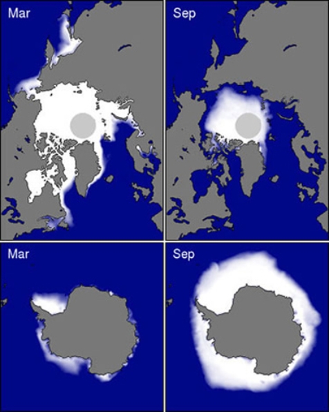 Which factor best explains for the difference in March sea ice between March in the northern hemisphere and March in the southern hemisphere?   A) low sun angle throughout the year B) high albedo for all surfaces C) seasonal variation in daylength D) continentality for all surfaces