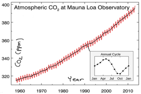 Between 1960 and 2010, atmospheric greenhouse CO<sub>2</sub> has increased by   A) 400 ppm. B) 320 ppm. C) 80 ppm.
