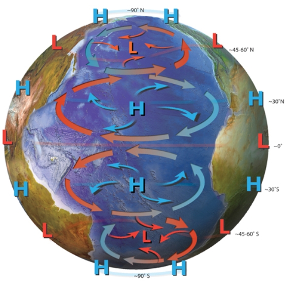 In the Northern Hemisphere cold currents tend to flow from the ____________.In the Southern Hemisphere warm currents tend to flow from the ________________:   A)  south; south B)  north; north C)  south; north D)  north; south