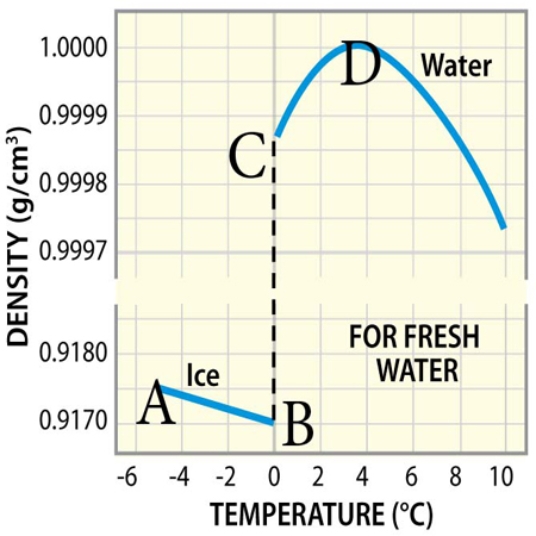 At what point on the graph does the density of water begin to decrease? ______ The temperature at this point is _______°C.   A)  A; -4°C B)  B; 0°C C)  C; 0°C (but higher density)  D)  D; 4°C