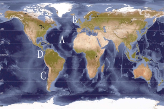 Where on the following world map are the lowest salinities?   A)  A B)  B C)  C D)  D