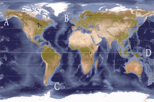 Which of the following locations is associated with sinking of cold saline waters forming the North Atlantic Deep Waters (NADW) ?   A)  A B)  B C)  C D)  D