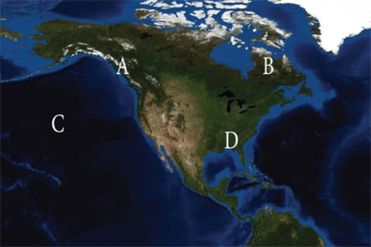 Which of the following locations would be characterized by warmer conditions than during an El Nino?   A)  A B)  B C)  C D)  D