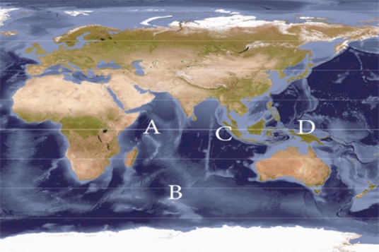 A negative phase of the Indian Ocean Dipole (IOD) results in warmer than average surface waters at ______ and cooler than average waters at ___________.   A)  A; C B)  A; D C)  C; A D)  C; B