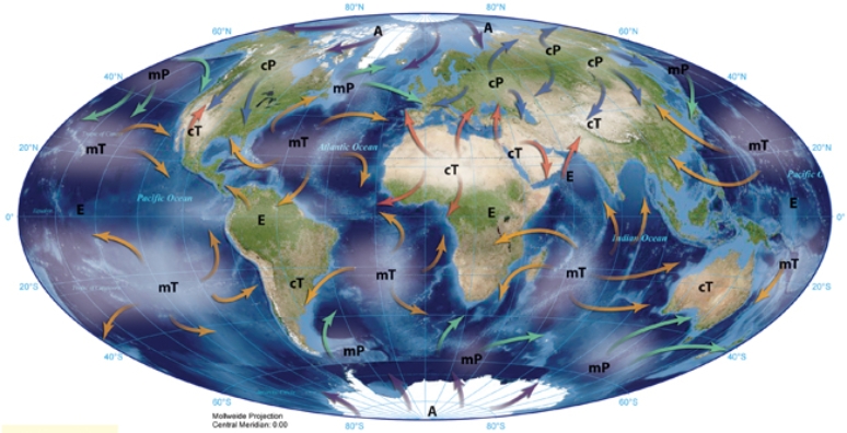 The cP air masses pictured here originate   A)  over land masses and bring cold air during the winter. B)  over land masses and bring warm air during the summer. C)  over water and bring warm air during the summer. D)  over water and bring cold air during the winter.