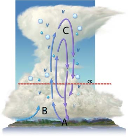 Where in the cloud is Bergeron process going to be most vigorous?   A)  less developed areas on land B)  developed areas along coasts C)  developed areas on land