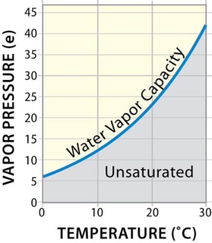 A parcel of saturated air at 20<font face= symbol ></font>C would have approximately _____ times _____ water vapor than saturated air at 0<font face= symbol ></font>C.   A) 5; more B) 20; more C) 5; less D) 20; less