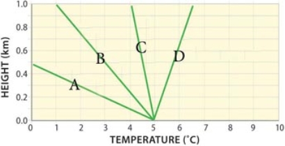 Which of the following environmental lapse rates represent the most unstable conditions?   A) A B) B C) C D) D