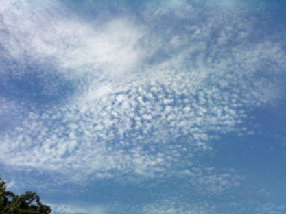 The high level cloud pictured here consists mainly of ice crystals and is due to convection   A) cumulonimbus. B) cirrocumulus. C) altocumulus. D) cumulus.