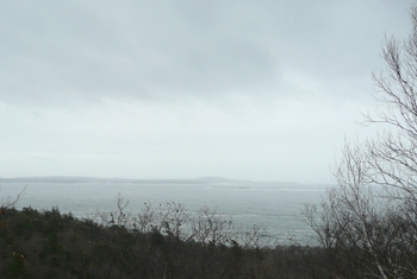 This cloud that is NOT precipitating and covers the entire sky, forming a low blanket of clouds that causes overcast conditions.   A) stratus B) nimbostratus C) altostratus D) cirrostratus