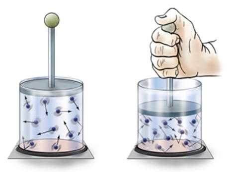 Pushing down on the sealed glass container causes   A) increased volume, pressure increases. B) decreased volume, pressure increases. C) decreased volume, pressure decreases. D) increased volume, pressure decreases.