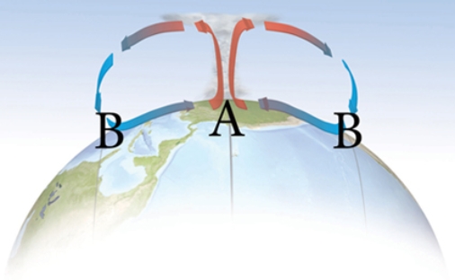Which represents the proper pressure cell arrangement for the Hadley Cell?   A) low pressure at A, high pressure at B B) high pressure at A, low pressure at B C) high pressure at A, high pressure at B D) low pressure at A, low pressure at B