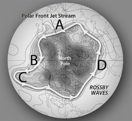 Which of the following locations shows the best development of a Rossby wave ridge?   A) A B) B C) C D) D