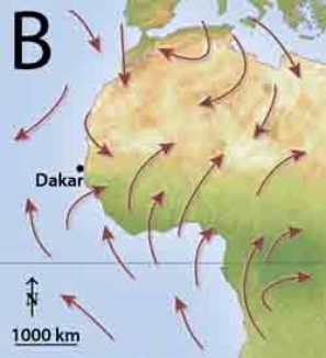 Which of the following represents the best wind pattern for monsoon precipitation conditions?       A) A B) B C) C D) none of these choices would bring a maximum for monsoon precipitation