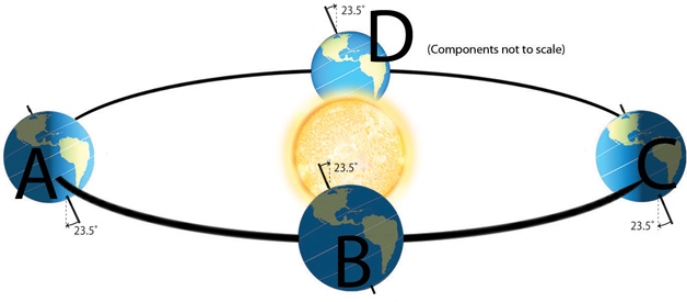 Which of the following letters represents when the sun is directly overhead at the Tropic of Capricorn?   A) A B) B C) C D) D