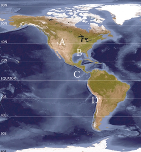Where do the highest amounts of insolation reach the surface based on more absorption, and less scattering?   A) A B) B C) C D) D