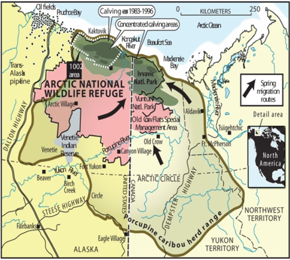 On the map below, all of the following would be considered  interpretations  except   A) spring migration routes. B) Ivvavic National Park. C) concentrated calving areas. D) porcupine caribou herd range.