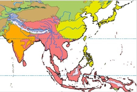 In the map below,pink represents   A) subtropical scrub and woodland. B) desert. C) rain forest. D) grassland.