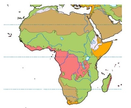 In the map below,green represents   A) subtropical scrub and woodland. B) desert. C) rain forest. D) grassland.