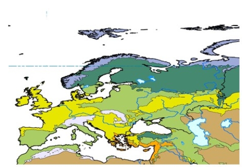 In the map below,yellow represents   A) temperate forest. B) tundra. C) boreal forest. D) grassland.