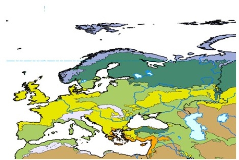 Which of the following is true about biomes in general?   A) Because evolution occurs over millions of years,the boundaries between biomes can be considered to be static over our lifetimes. B) Biome boundaries are abrupt,with very distinct differences in appearance from one side of the line to another. C) Biogeographers disagree on how many biomes there are and which types of landscapes should be considered part of the same biome. D) Biomes only exist over land areas.