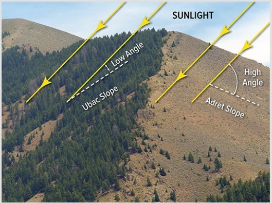 If the diagram below is in the Northern Hemisphere outside of the tropics,the left side of the diagram is   A) north. B) south. C) east. D) west.
