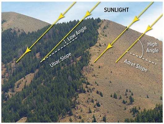 In the diagram below,   A) the snow line will be higher on the right slope than the left slope. B) the tree line will be higher on the right slope than the left slope. C) the left slope will have more soil moisture than the right slope. D) All of these are correct.