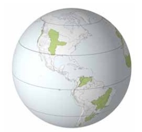 In the globe below,from north to south the local names for the grasslands are   A) Great Plains,pampas,llanos,campos. B) Great Plains,llanos,campos,pampas. C) Great Plains,campos,llanos,pampas. D) Great Plains,llanos,pampas,campos.